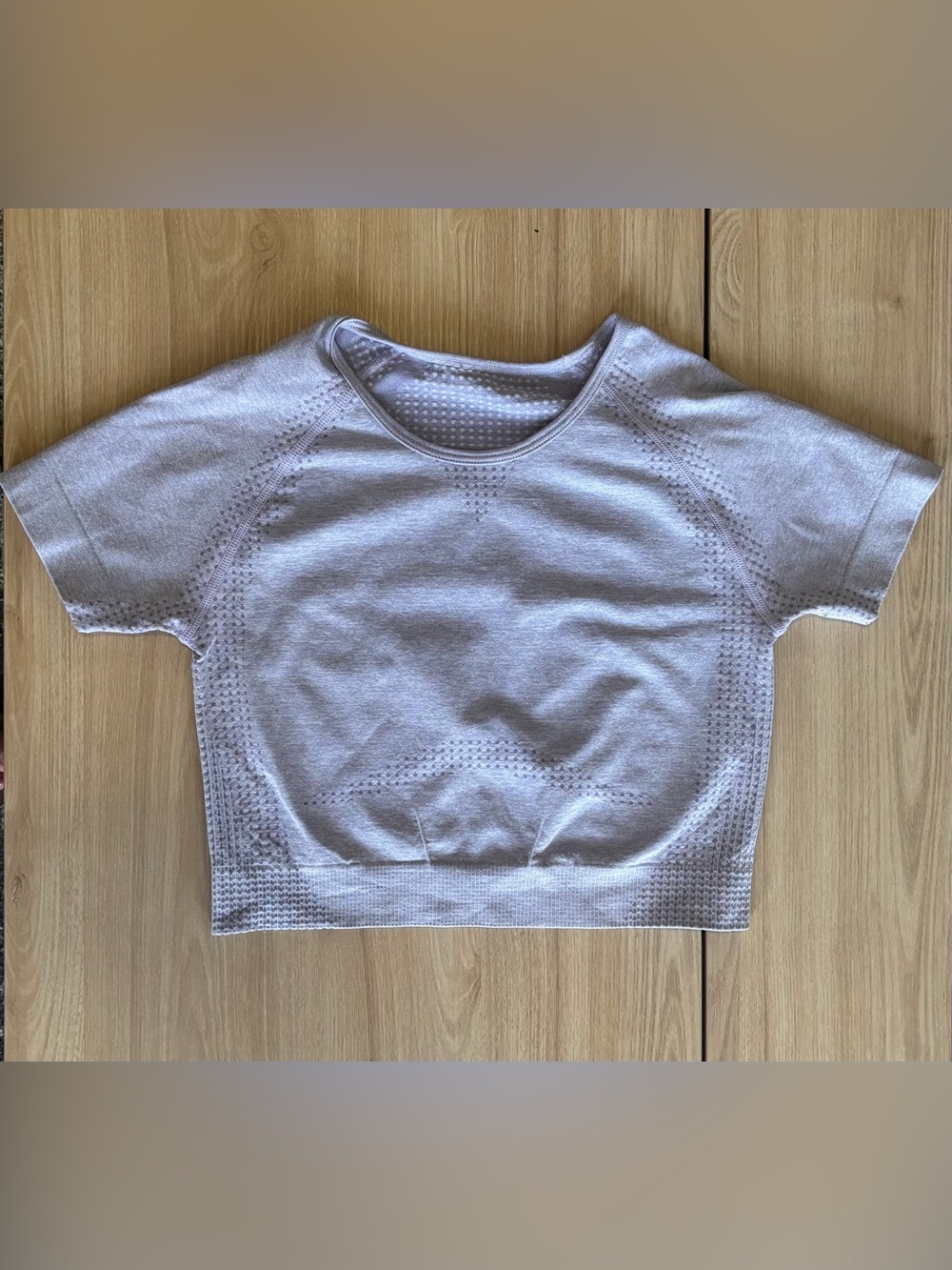 Seamless Light Purple Short Sleeve Workout Crop Top - Size Small